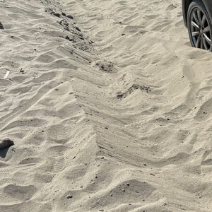 レッカー呼んだら、救助に来たトラックもスタック♡ピンチのときは本性が出るもんです